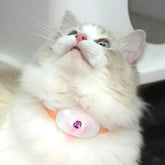Smart Laser Cat-Teasing Collar Laser Rechargeable Auto Infrared Interactive Pet Kitten Toys for Relieve Anxiety Pet Supplies