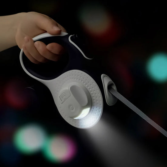 5/8M Pet Automatic Retractable Leash, with Garbage Bag Dispenser and LED Lighting, Outdoor Dog Leash