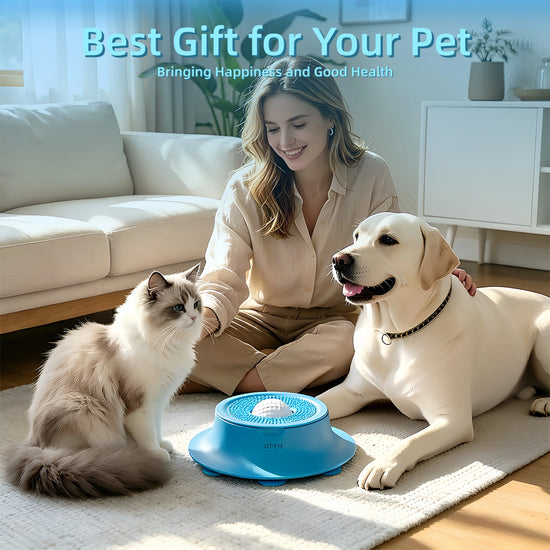 3/4 Cup Silicone Dog Lick Mat Slow Feeder Bowl Strong Suction Anti Choking Pet Feeding Dish for Small Puppies