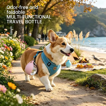 1 Piece of 9.64 Ounce Leak Proof Portable Pet Water Bottle with Lanyard and Dispenser for Outdoor Adventure Travel