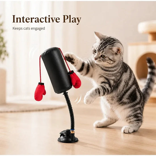 Interactive Cat Boxing Toy,Multifunctional Entertainment for Self-Relaxation Fun Exercise Toy,for Indoor Cats Kitten Activity