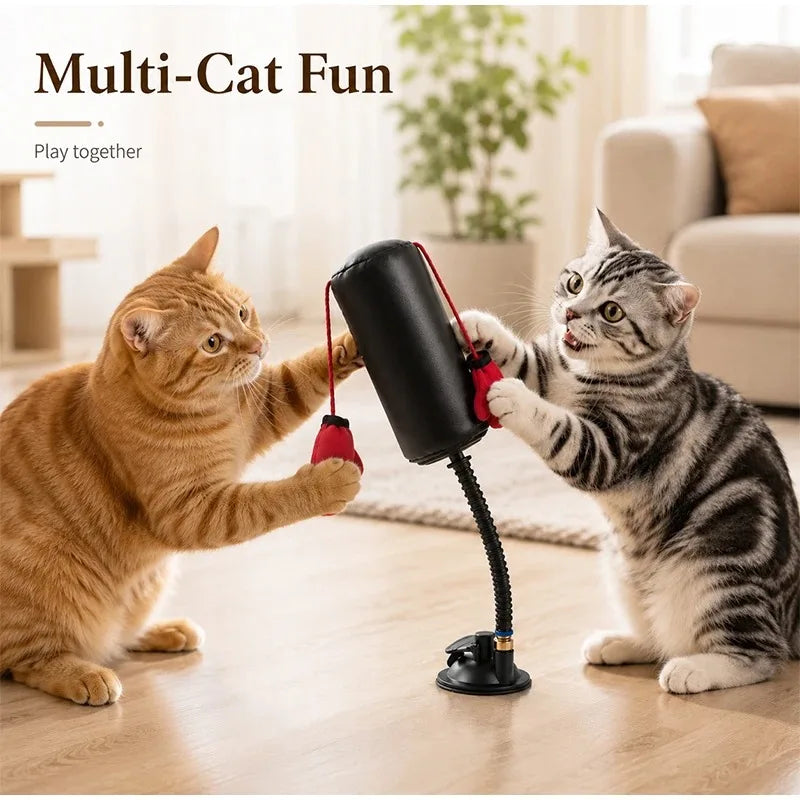 Interactive Cat Boxing Toy,Multifunctional Entertainment for Self-Relaxation Fun Exercise Toy,for Indoor Cats Kitten Activity
